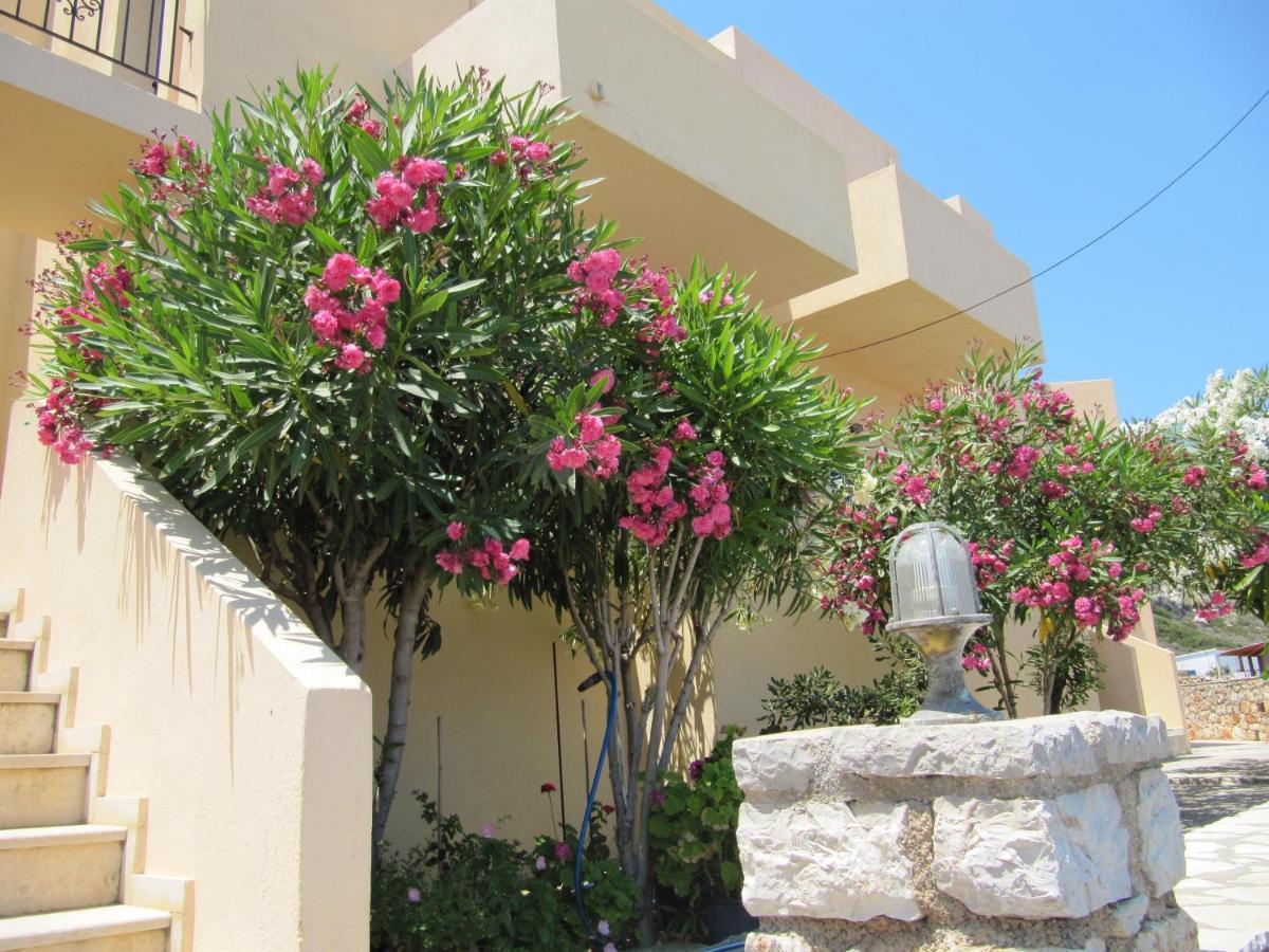 Eugenia Travasarou Sea View Appartments Diakofti Buitenkant foto